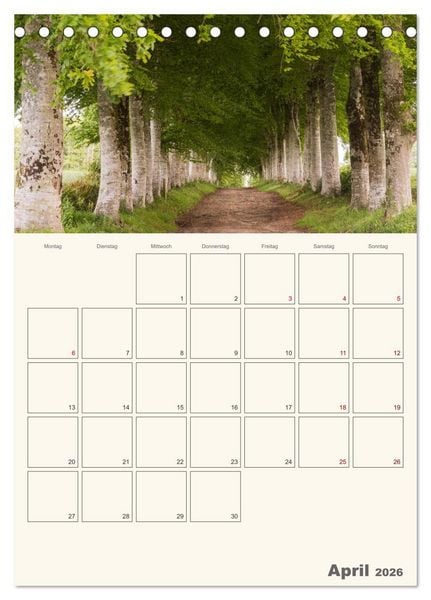 Produktbild: Sommertage in der Bretagne (Tischkalender 2026 DIN A5 hoch), CALVENDO Monatskalender