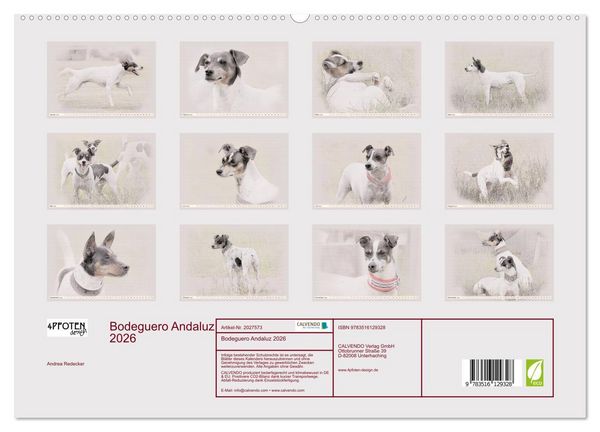Produktbild: Bodeguero Andaluz 2026 (hochwertiger Premium Wandkalender 2026 DIN A2 quer), Kunstdruck in Hochglanz