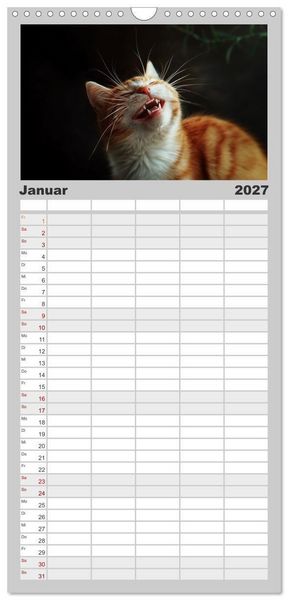 Produktbild: Familienplaner 2027 - Auch Katzen lachen gern mit 5 Spalten (Wandkalender, 21 x 45 cm) CALVENDO