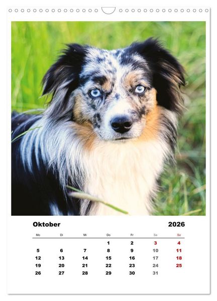 Produktbild: Bauernhoftiere, ganz nah dran (Wandkalender 2026 DIN A3 hoch), CALVENDO Monatskalender