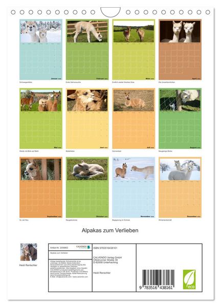 Produktbild: Alpakas zum Verlieben (Wandkalender 2026 DIN A4 hoch), CALVENDO Monatskalender