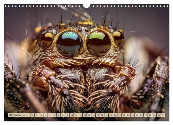 Produktbild: Spinnenaugen (Wandkalender 2027 DIN A3 quer), CALVENDO Monatskalender
