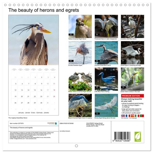 Produktbild: The beauty of herons and egrets (Wall Calendar 2026 12 &times; 12 Inch) CALVENDO 12 Month Wall Calendar