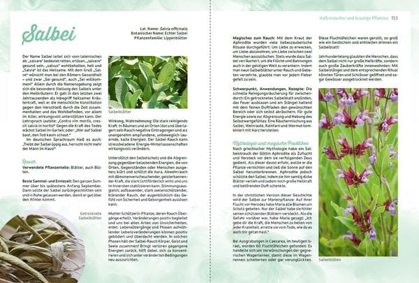 Produktbild: R&auml;uchern im Einklang mit der Natur