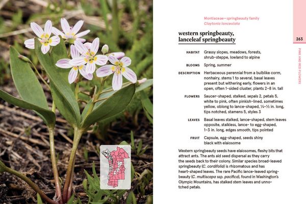 Produktbild: Western Washington and Oregon in Bloom