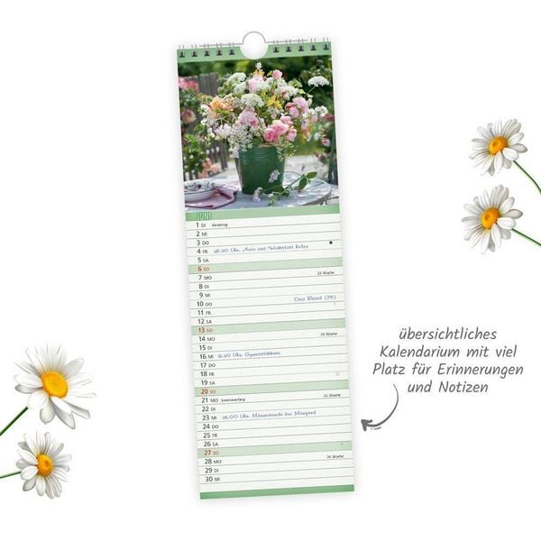Produktbild: TR&Ouml;TSCH - Streifenkalender Blumen 2027 Notizkalender
