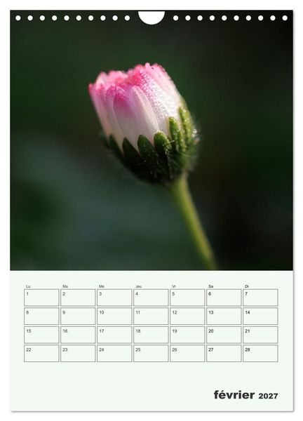 Produktbild: Fleurs en toute simplicit&eacute; - Beaut&eacute; minimaliste (Calendrier mural 2027 DIN A4 horizontal), CALVENDO calendrier mensuel