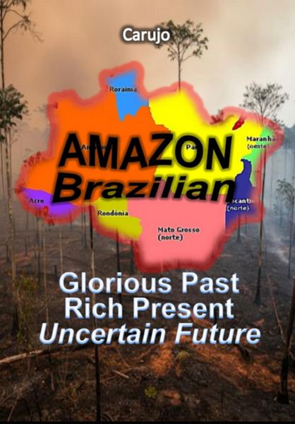 Produktbild: Amazon Brazilian