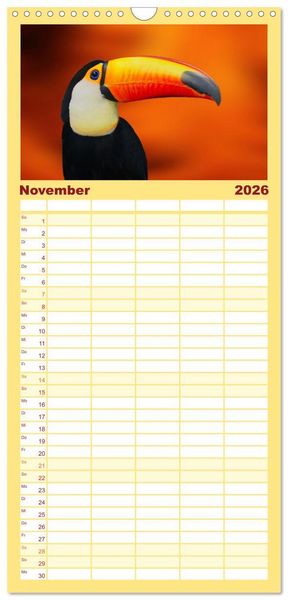 Produktbild: Familienplaner 2026 - Die bunte Welt der V&ouml;gel mit 5 Spalten (Wandkalender, 21 x 45 cm) CALVENDO