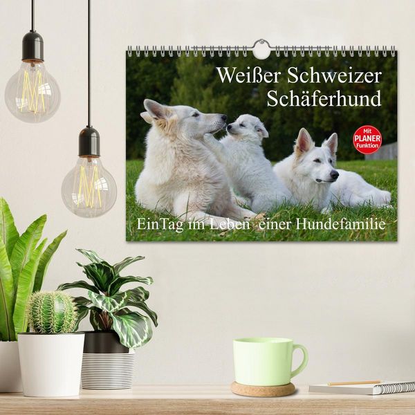 Produktbild: Wei&szlig;er Schweizer Sch&auml;ferhund - Ein Tag im Leben einer Hundefamilie (Wandkalender 2026 DIN A4 quer), CALVENDO Monatskalender
