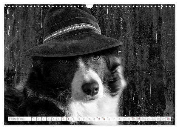 Produktbild: Hund tr&auml;gt Hut (Wandkalender 2026 DIN A3 quer), CALVENDO Monatskalender