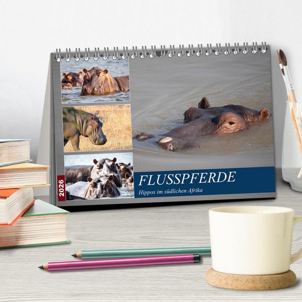 Produktbild: Hippos im s&uuml;dlichen Afrika (Tischkalender 2026 DIN A5 quer), CALVENDO Monatskalender