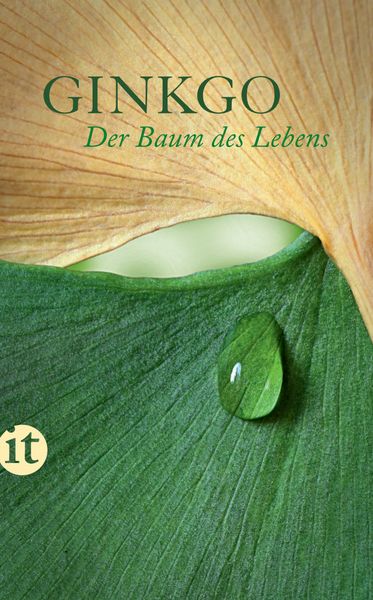 Produktbild: Ginkgo