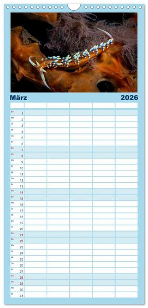 Produktbild: Familienplaner 2026 - Nudis &ndash; Die bunte Welt der Nacktschnecken mit 5 Spalten (Wandkalender, 21 x 45 cm) CALVENDO