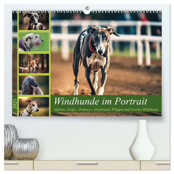 Windhunde im Portrait (hochwertiger Premium Wandkalender 2025 DIN A2 quer), Kunstdruck in Hochglanz