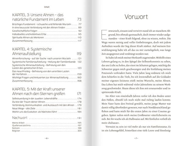 Produktbild: Schamanische Ahnenarbeit