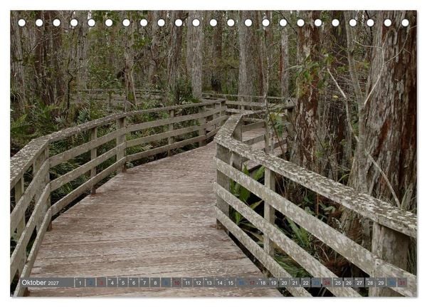 Produktbild: Sunshine State Florida Natur, Tierwelt und Nationalparks (Tischkalender 2027 DIN A5 quer), CALVENDO Monatskalender
