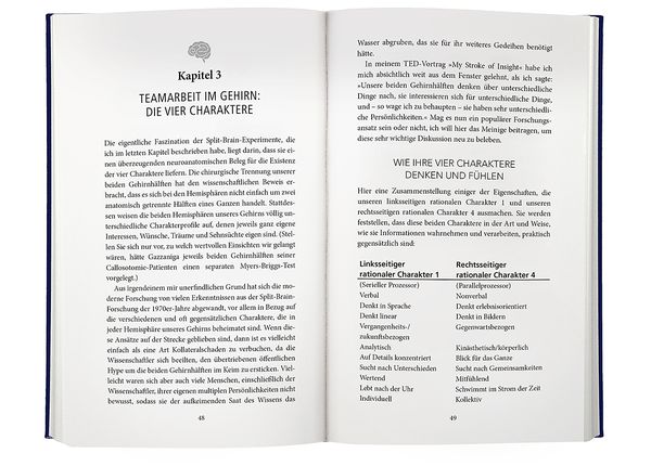 Produktbild: Gehirn^4
