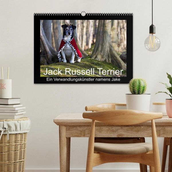 Produktbild: Jack Russell Terrier.....Ein Verwandlungsk&uuml;nstler namens Jake (Wandkalender 2026 DIN A3 quer), CALVENDO Monatskalender