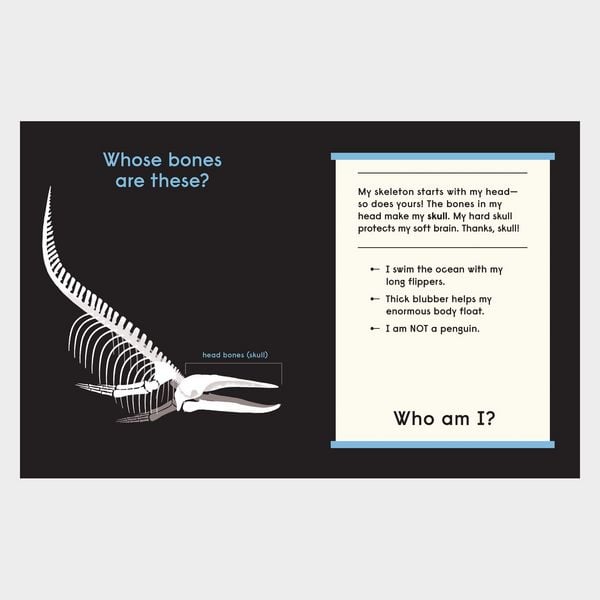 Produktbild: Whose Bones?