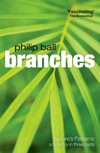 Produktbild: Branches