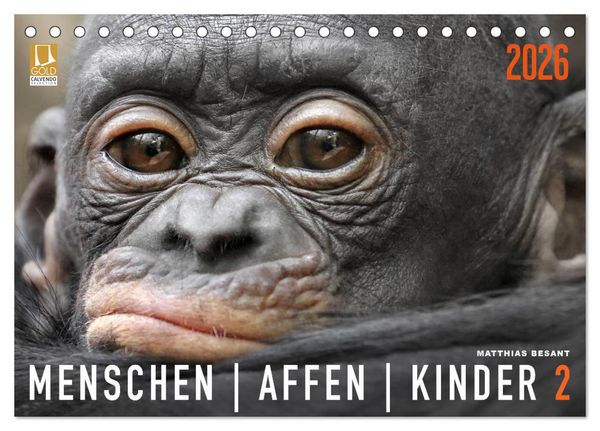 Produktbild: MENSCHENAFFENKINDER 2 (Tischkalender 2026 DIN A5 quer), CALVENDO Monatskalender
