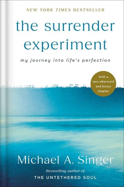 Produktbild: The Surrender Experiment