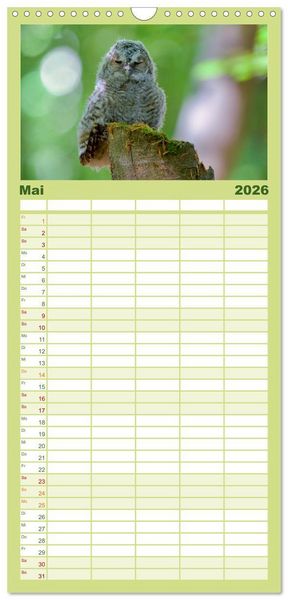 Produktbild: Familienplaner 2026 - geliebte Waldgeister mit 5 Spalten (Wandkalender, 21 x 45 cm) CALVENDO