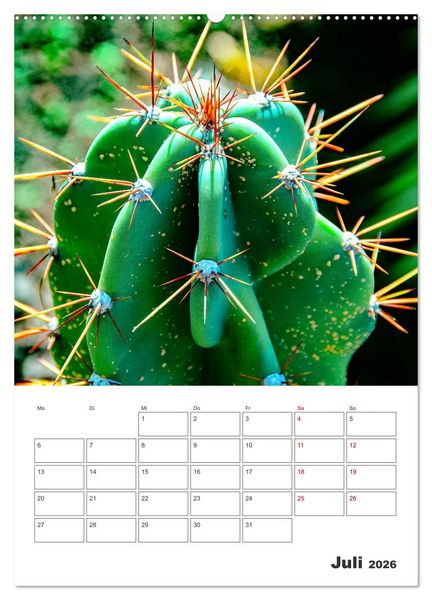Produktbild: Dornige Sch&ouml;nheiten - Kakteen und Sukkulenten (Wandkalender 2026 DIN A2 hoch), CALVENDO Monatskalender