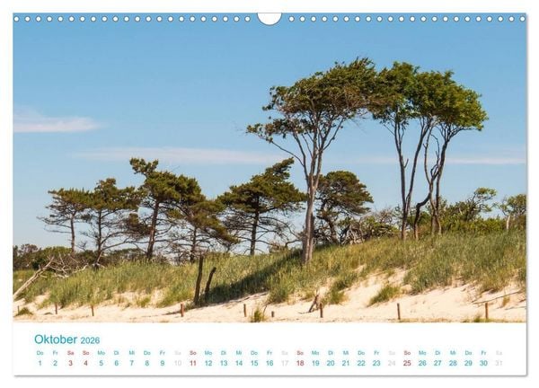 Produktbild: Der Dar&szlig; Kalender (Wandkalender 2026 DIN A3 quer), CALVENDO Monatskalender