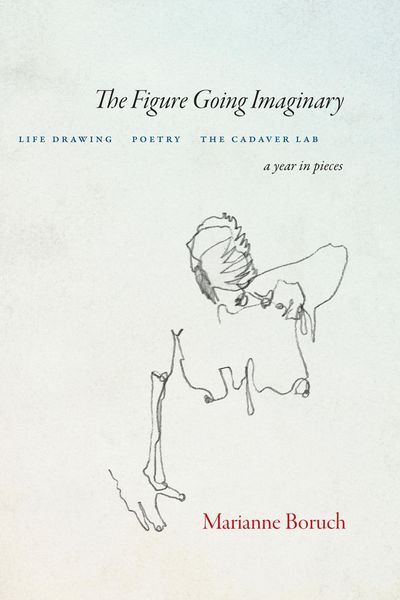 Produktbild: The Figure Going Imaginary