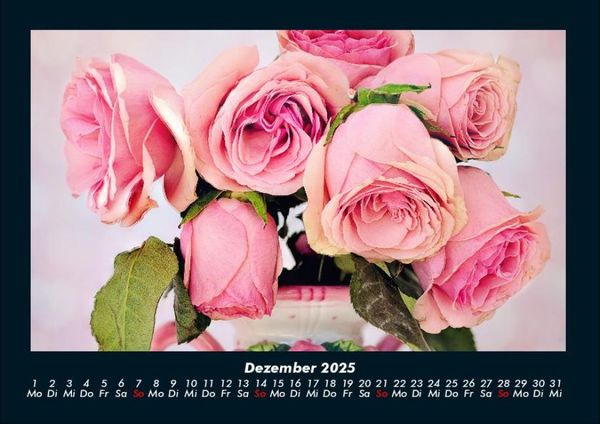 Produktbild: Rosen-Kalender 2025 Fotokalender DIN A4