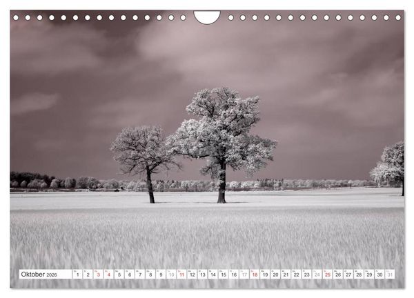Produktbild: Zauberhafte Infrarot-Fotografie (Wandkalender 2026 DIN A4 quer), CALVENDO Monatskalender