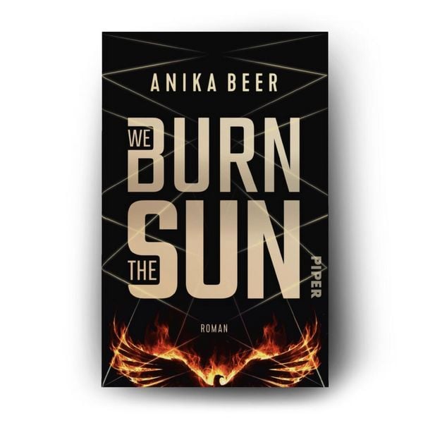 Produktbild: We Burn the Sun