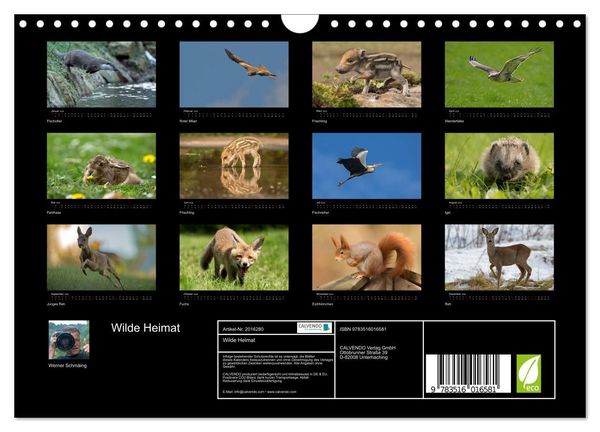 Produktbild: Wilde Heimat (Wandkalender 2026 DIN A4 quer), CALVENDO Monatskalender