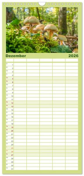 Produktbild: Familienplaner 2026 - Pilze in den Herbstw&auml;ldern mit 5 Spalten (Wandkalender, 21 x 45 cm) CALVENDO
