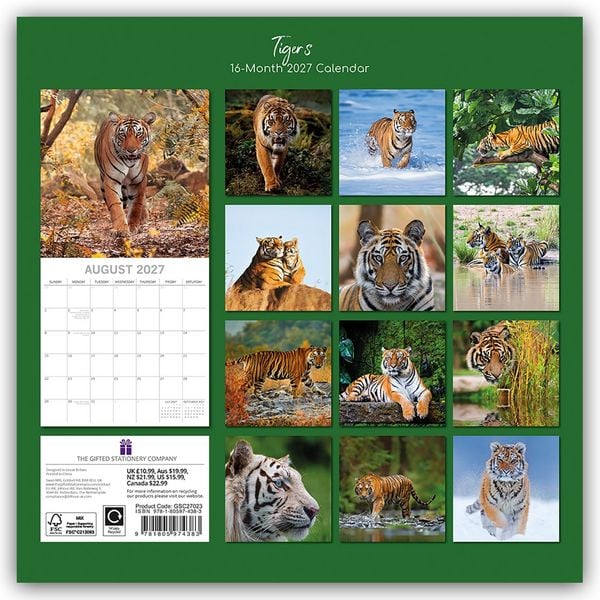 Produktbild: Tigers &ndash; Tiger 2027 &ndash; 16-Monatskalender