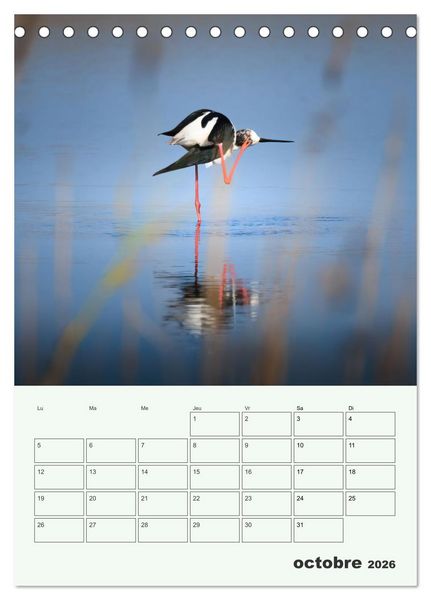 Produktbild: Le monde intime des oiseaux (Calendrier de bureau 2026 DIN A5 horizontal), CALVENDO calendrier mensuel
