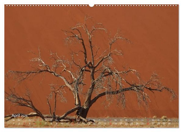 Produktbild: Afrikanische B&auml;ume (Wandkalender 2026 DIN A2 quer), CALVENDO Monatskalender