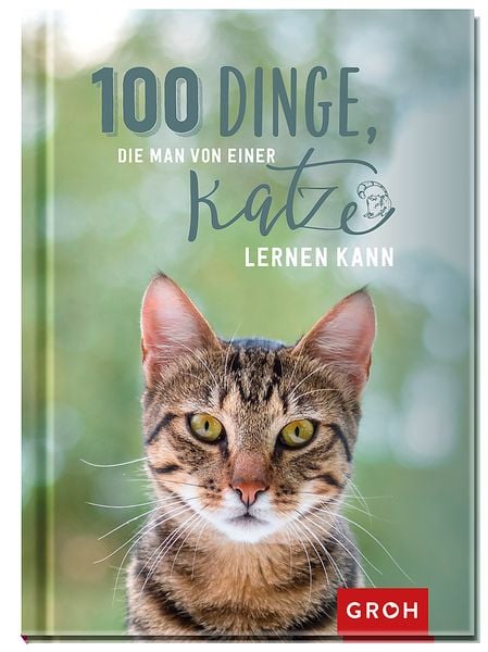 100 Dinge, die man von einer Katze lernen kann, Gebundene Ausgabe von , Groh, 978-3-8485-2325-2
