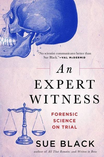 Produktbild: An Expert Witness