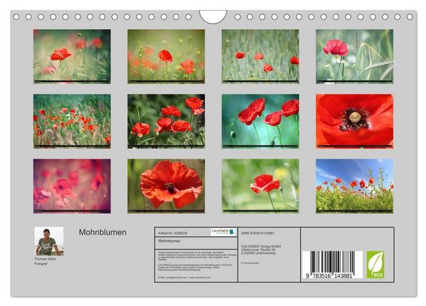 Produktbild: Mohnblumen (Wandkalender 2026 DIN A4 quer), CALVENDO Monatskalender