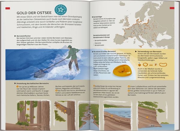 Produktbild: Baedeker Reisef&uuml;hrer Baltikum