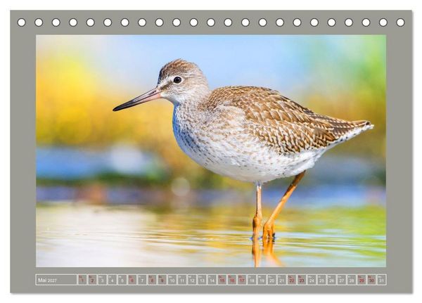 Produktbild: Limikolen - Watv&ouml;gel aus Europa (Tischkalender 2027 DIN A5 quer), CALVENDO Monatskalender