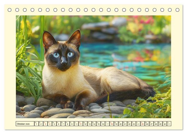 Produktbild: Edle Siamkatzen. Anmut und Charakter im Spiel mit der Natur (Tischkalender 2026 DIN A5 quer), CALVENDO Monatskalender