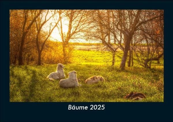 Produktbild: B&auml;ume 2025 Fotokalender DIN A5