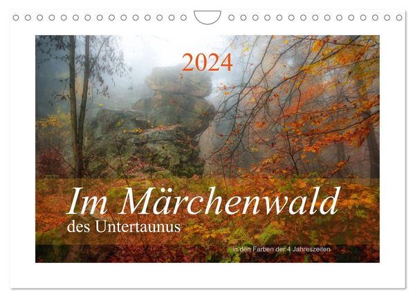 Im Märchenwald des Untertaunus (Wandkalender 2024 DIN A4 quer), CALVENDO Monatskalender