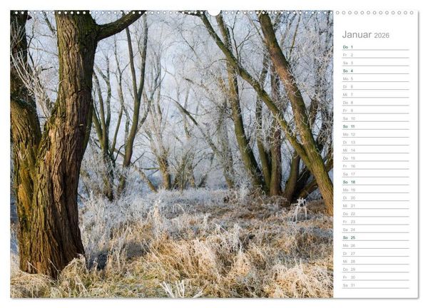 Produktbild: Im Deutschen Wald 2026 - ein Notizkalender (Wandkalender 2026 DIN A2 quer), CALVENDO Monatskalender