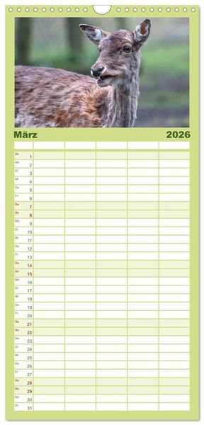 Produktbild: Familienplaner 2026 - Heimische Tiere - Rehe mit 5 Spalten (Wandkalender, 21 x 45 cm) CALVENDO