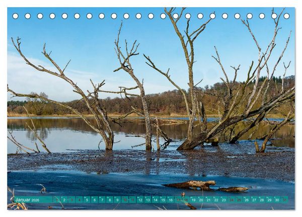 Produktbild: Flusslandschaft Elbe (Tischkalender 2026 DIN A5 quer), CALVENDO Monatskalender